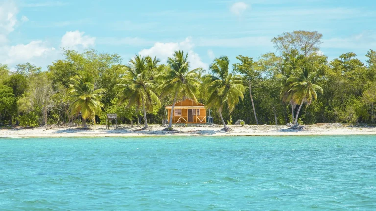 Pexels leorossatti 2598683 min scaled 16x9